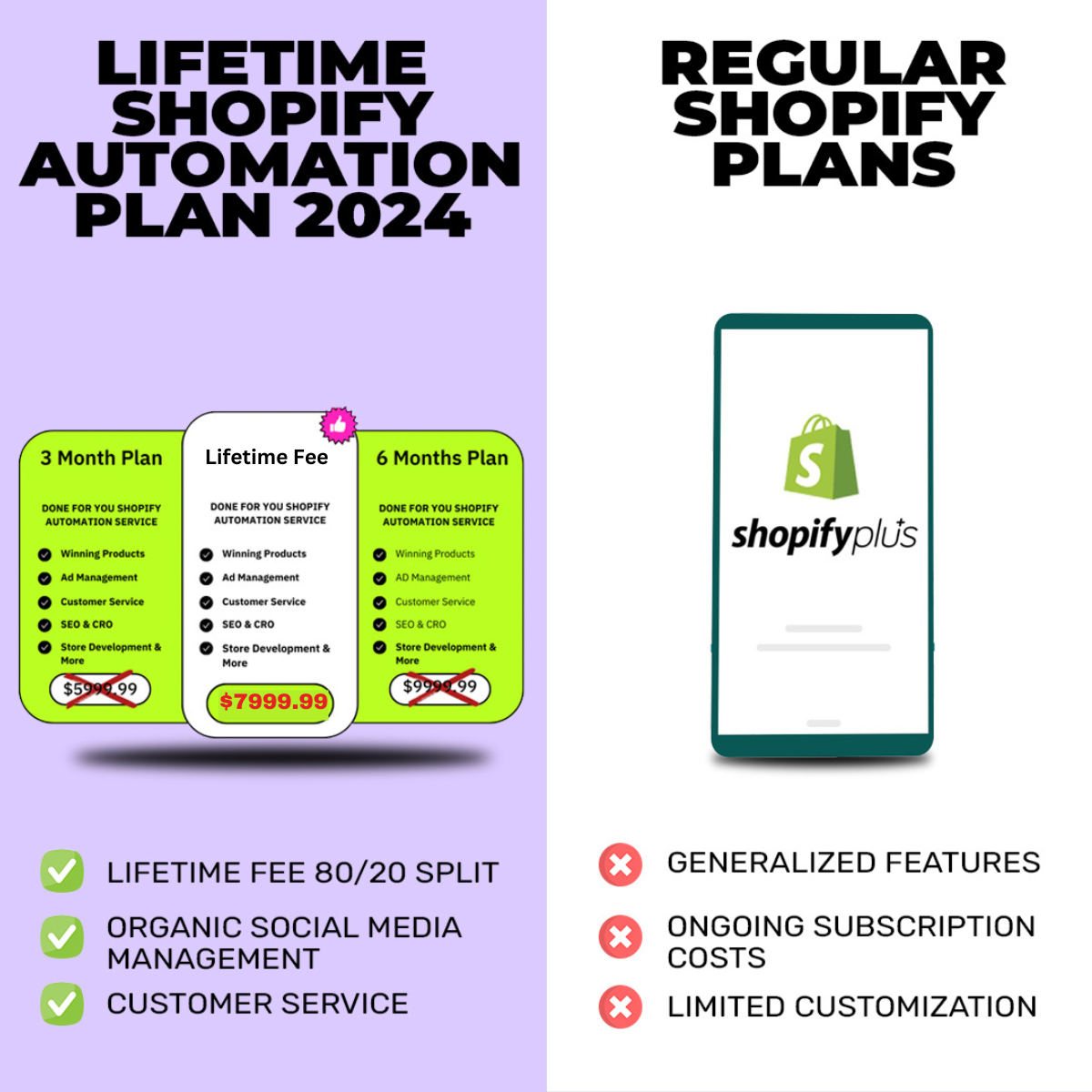 Lifetime Shopify Automation Plan 2024